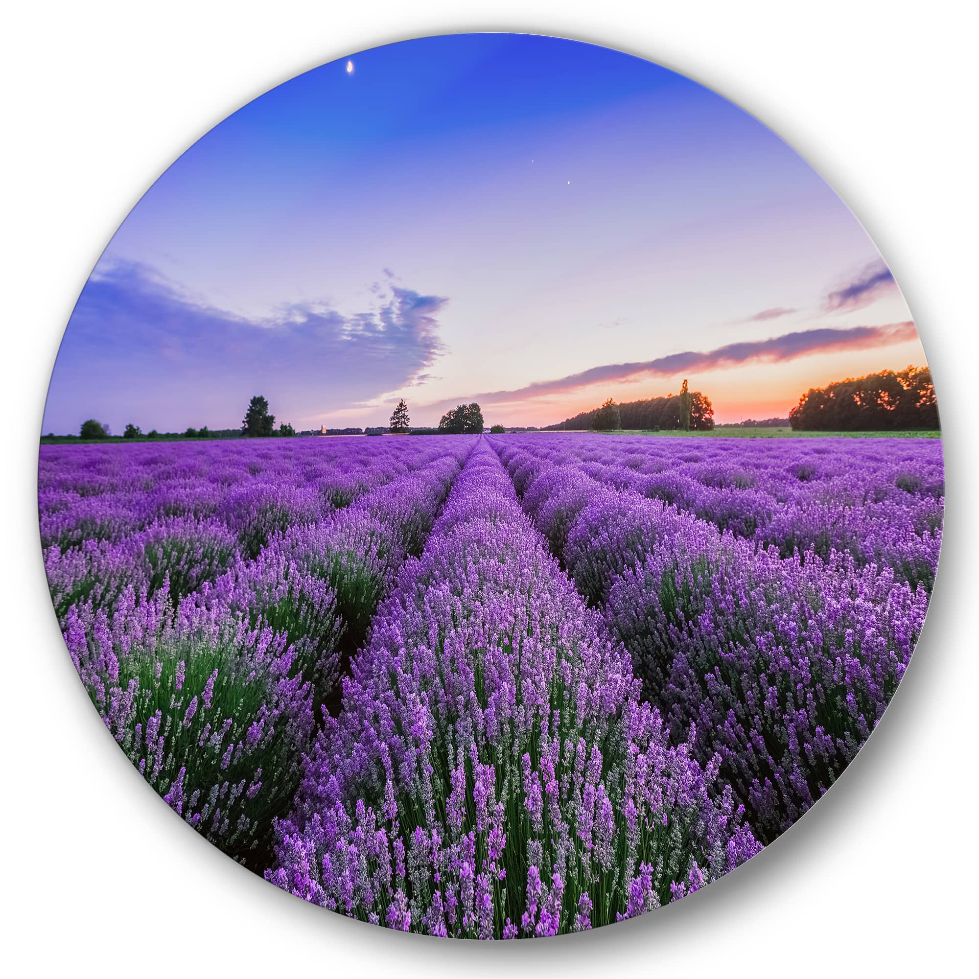 Designart - Sunrise & Dramatic Clouds Over Lavender Field II